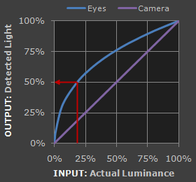 图2 人眼和摄像机的感光与实际输入光强的关系